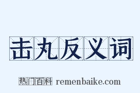 击丸反义词是什么意思的图片